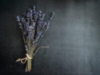 What is Naturopathy