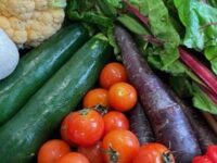 Eat Well to Be Well: Meal Prep for Busy Lives