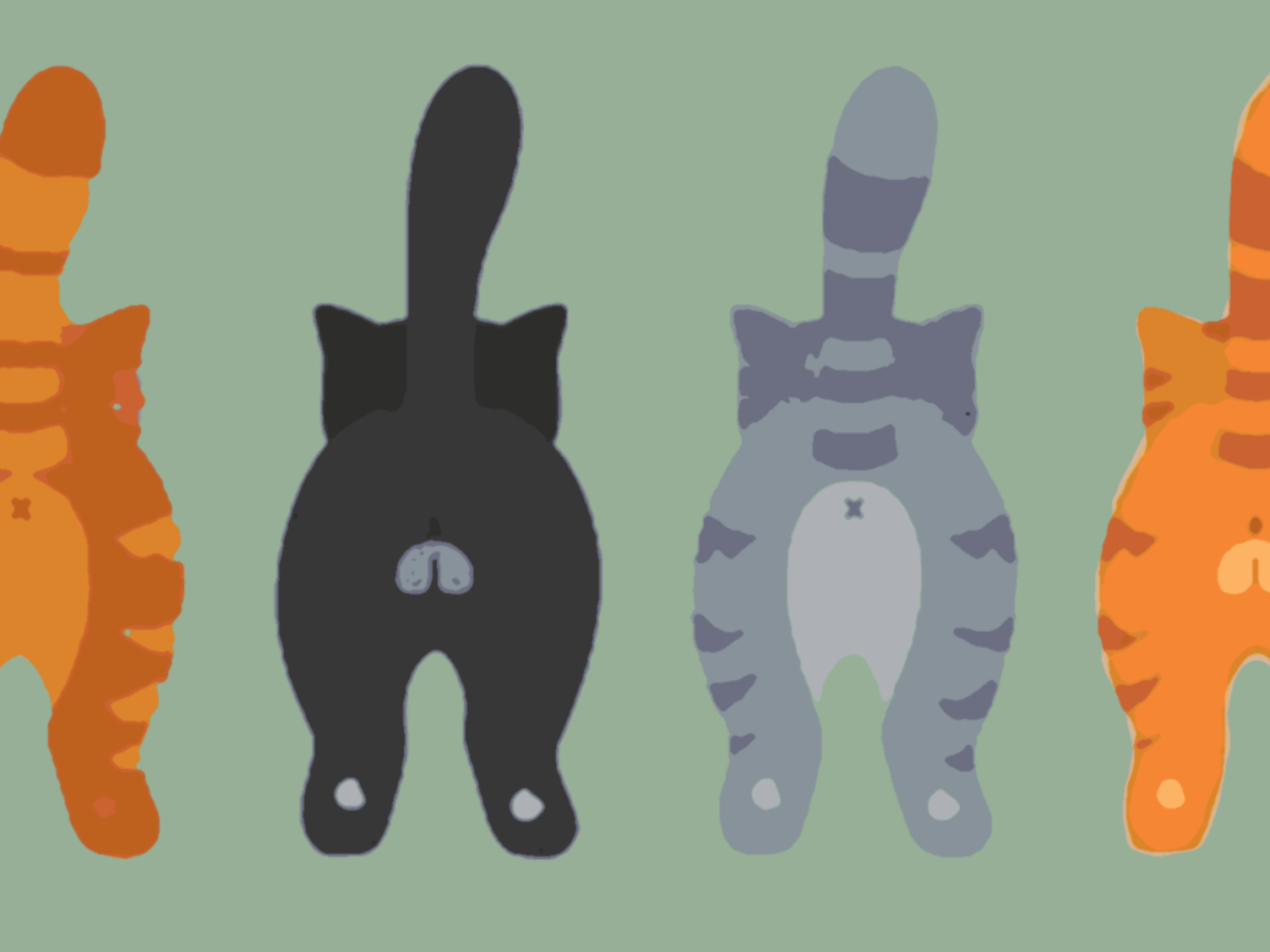 Bitters – for a great cat’s bottom face